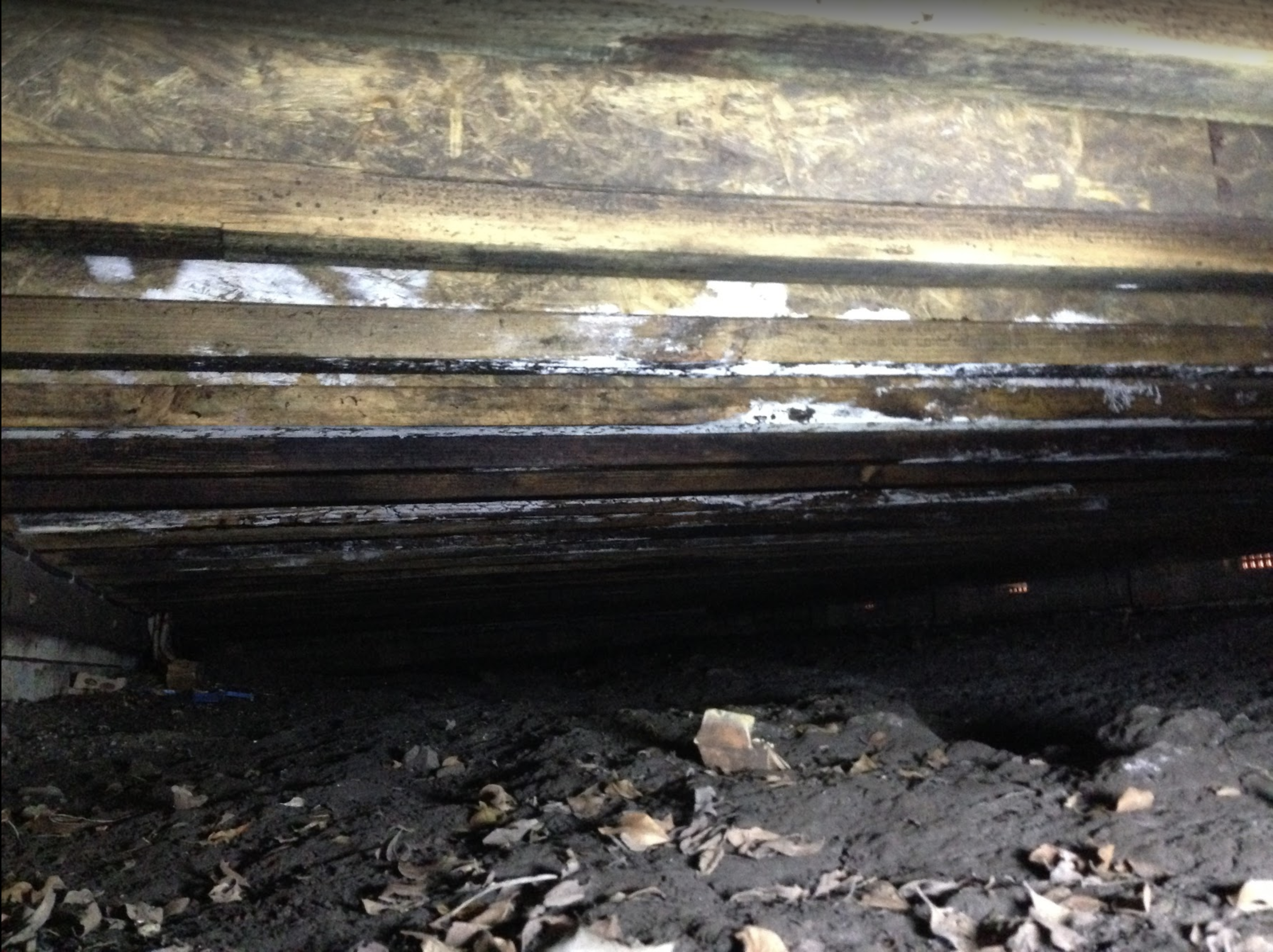 subfloor mould on floor joists 